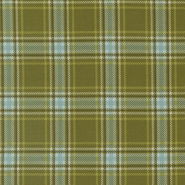 The Great Outdoors Plaid in Forest by Stacy Iest Hsu 20885-13