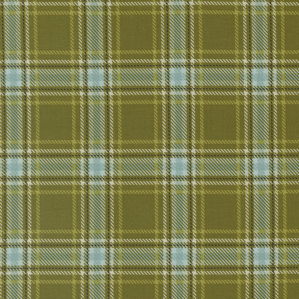 The Great Outdoors Plaid in Forest by Stacy Iest Hsu 20885-13
