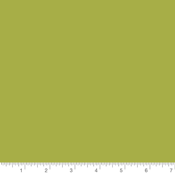 Wallflowers Solid Green by Allison Harris for Windham Fabrics