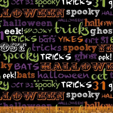 Raven Spooky Words on Black by Windham Fabrics