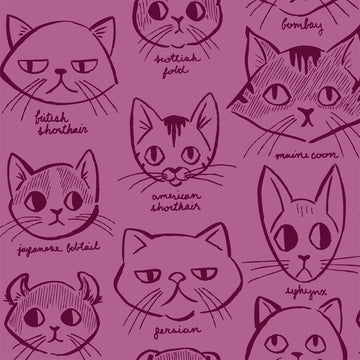 Caturday Catitude in Red Violet