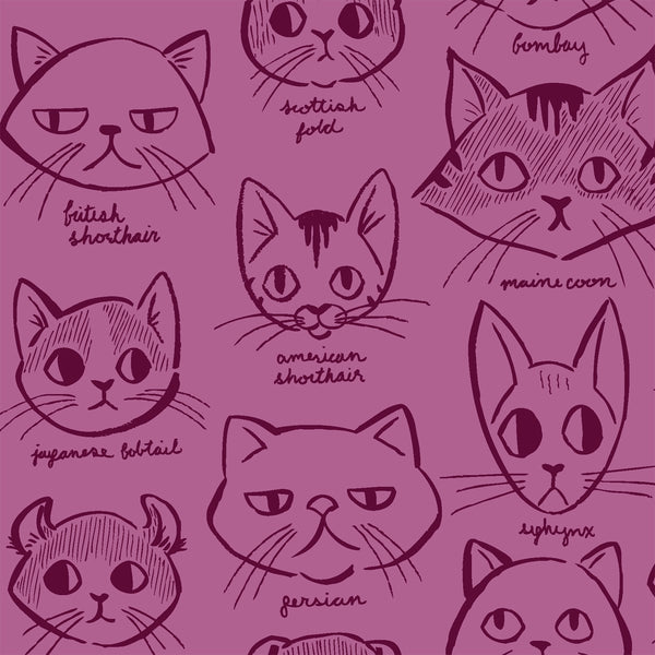 Caturday Catitude in Red Violet