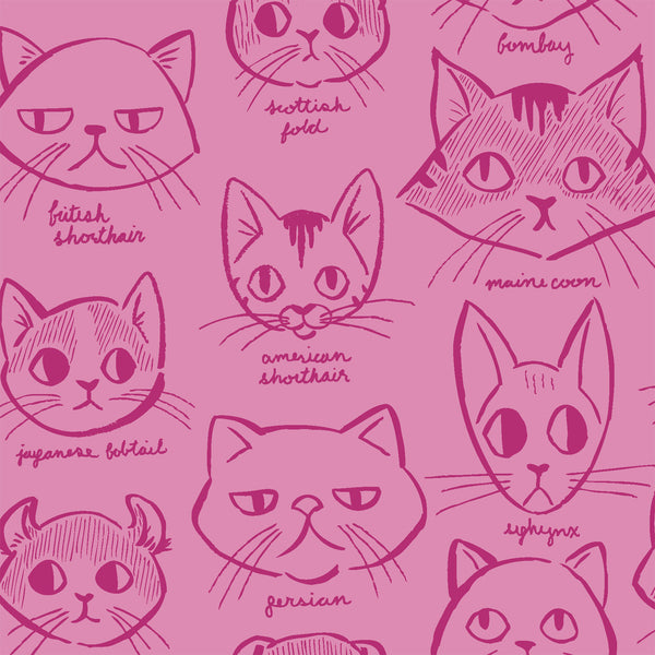 Caturday Catitude in Rose