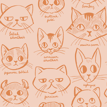 Caturday Catitude in Orange