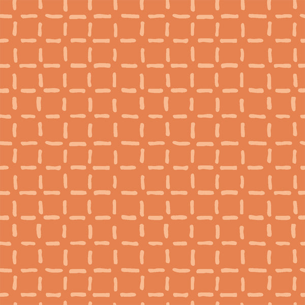 Caturday Boxed in Orange