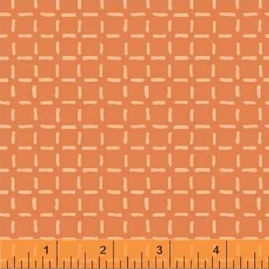 Caturday Boxed in Orange