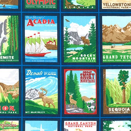 Explore America National Parks in Bright by Robert Kaufman AOR-15338-195-BRIGHT