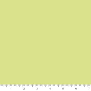 Light Green in Designer Cotton Solid by Riley Blake Designs