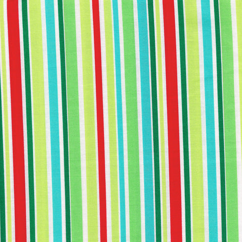 That's all Stripe in Multi by Michael Miller Fabrics
