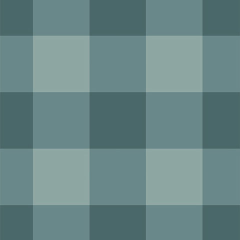 Highlands Flannel Buffalo Plaid in Loch by AGF Studio F-32802