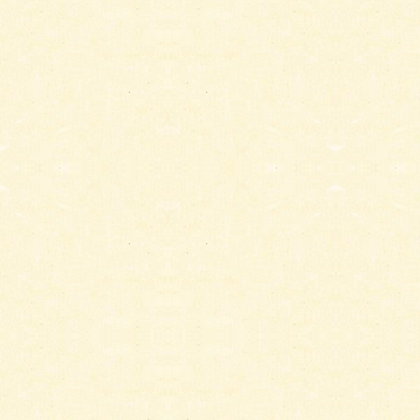 Kona Premium Muslin Kona Solid in Natural by Robert Kaufman K051-1242