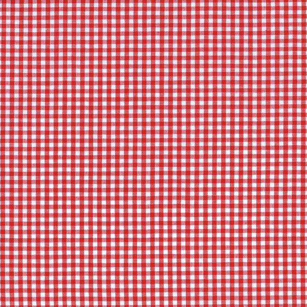 Carolina Gingham in Crimson by Robert Kaufman Fabrics