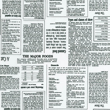 In the Press Cat Newspaper Print by Sevenberry for Robert Kaufman Fabrics