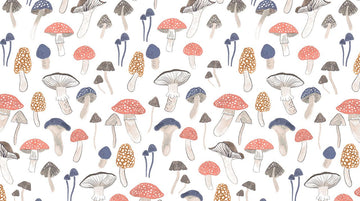 Foxtail Forest Foraging for Funghi by Dear Stella