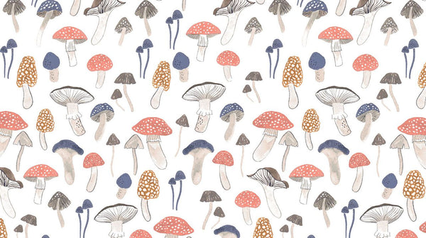 Foxtail Forest Foraging for Funghi by Dear Stella