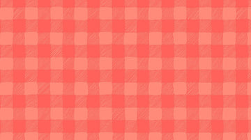Trail Mix Gingham in Coral by Dear Stella