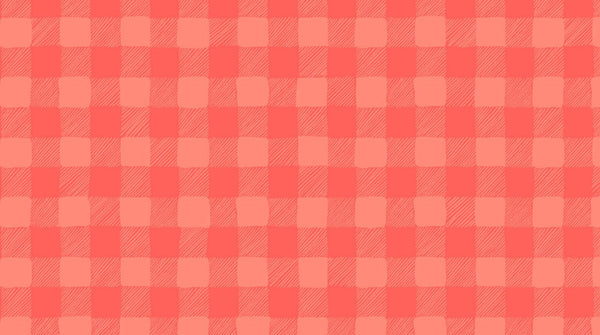 Trail Mix Gingham in Coral by Dear Stella