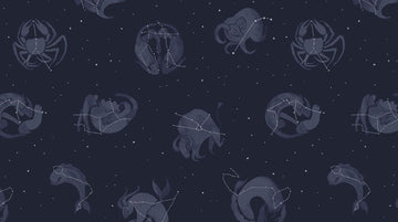 Moon Garden Constellations on Navy by Dear Stella