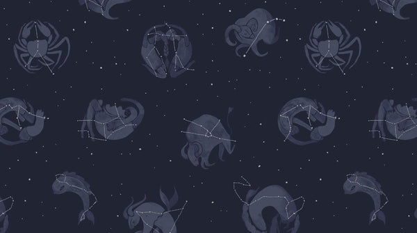 Moon Garden Constellations on Navy by Dear Stella