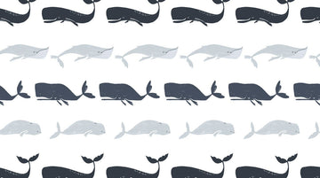 Into the Reef Whale Species on White by Dear Stella