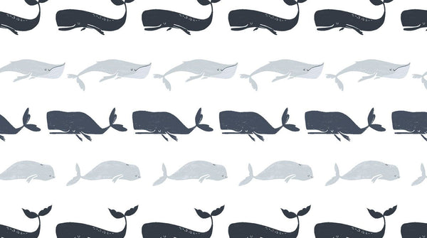 Into the Reef Whale Species on White by Dear Stella