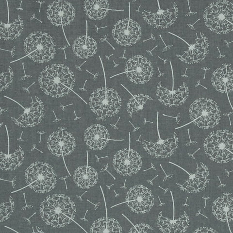 Dandelions on Grey by Dear Stella
