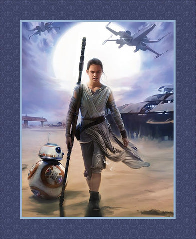Star Wars The Force Awakens Rey and BB8 35 Inch Panel