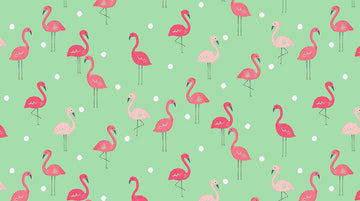 Jettsetter Flamingoes