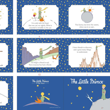 Little Prince Soft Book Panel in English by Riley Blake Designs P6797-ENGLISH