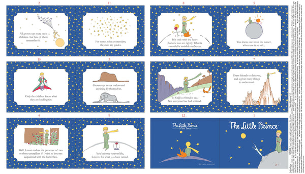 Little Prince Soft Book Panel in English, full 24 x 44 inch panel