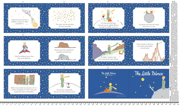 Little Prince Soft Book Panel with inch ruler for scale