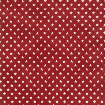 Land that I Love Patriotic Stars Red