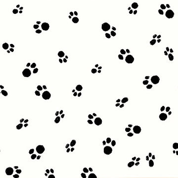 Catnip Cat Paws White