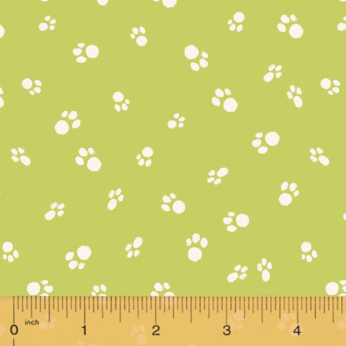 Catnip Cat Paws Spring Green