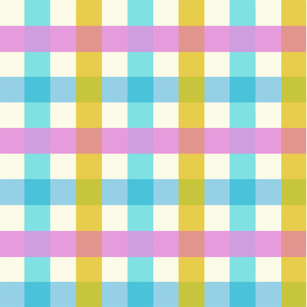 Malibu Big Gingham in Aquamarine by Heather Ross 52148-2