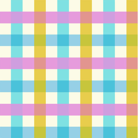 Malibu Big Gingham in Aquamarine by Heather Ross 52148-2