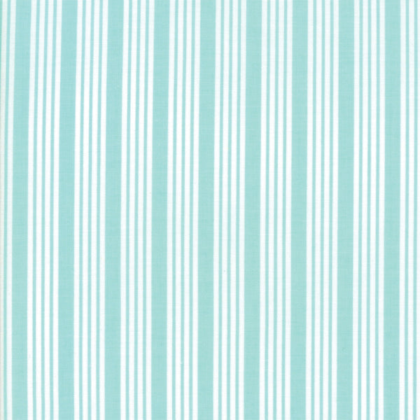 The Good Life Stripe in Aqua