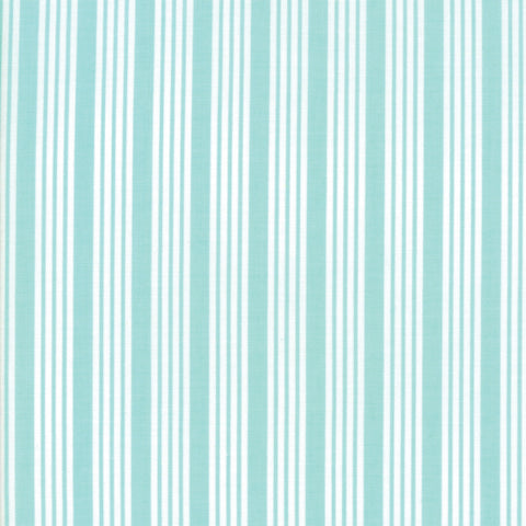 The Good Life Stripe in Aqua
