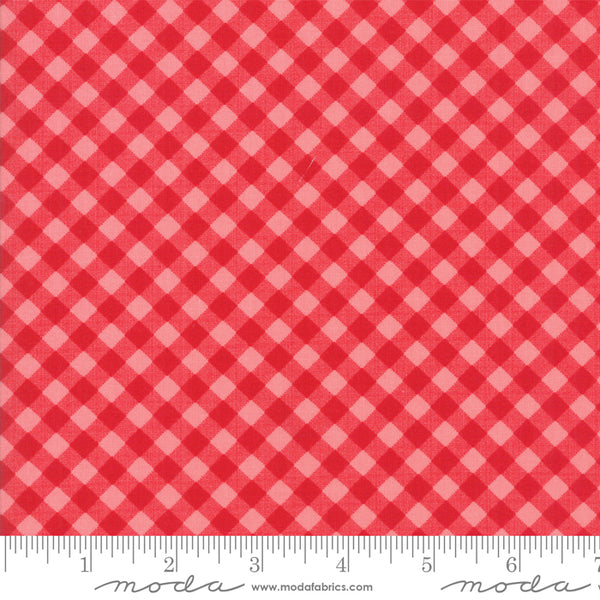 Little Snippets Gingham Red Coral