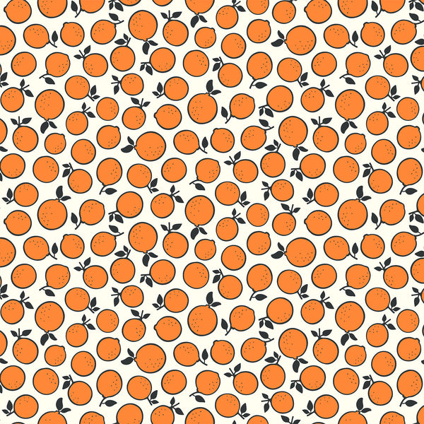 Squeeze Squeeze the Day in Orange by Dana Willard 90296-56