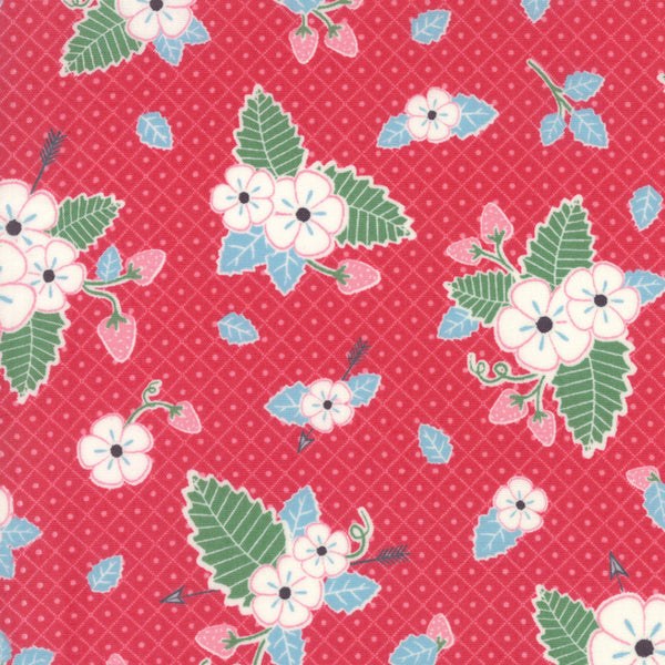 Bumble Berries Strawberry Field on Red