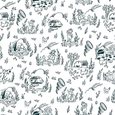 Dorthy's Journey Kansas White