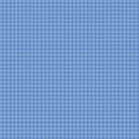 Dorothy's Journey Plaid Blue