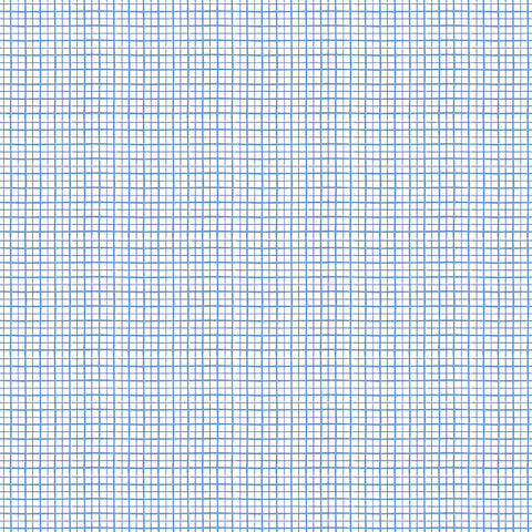 Dorothy's Journey Plaid White