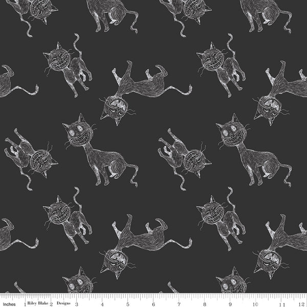 Scaredy Cat Main in Charcoal by Amanda Niederhauser C9410-Charcoal