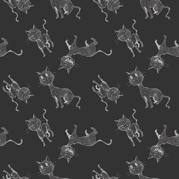 Scaredy Cat Main in Charcoal by Amanda Niederhauser C9410-CHARCOAL