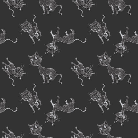 Scaredy Cat Main in Charcoal by Amanda Niederhauser C9410-CHARCOAL