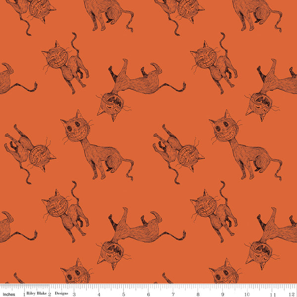 Scaredy Cat Main in Dark Orange by Amanda Niederhauser C9410-DkOrange