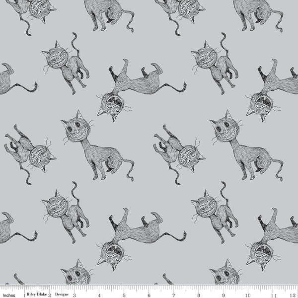 Scaredy Cat Main in Gray by Amanda Niederhauser C9410-Gray