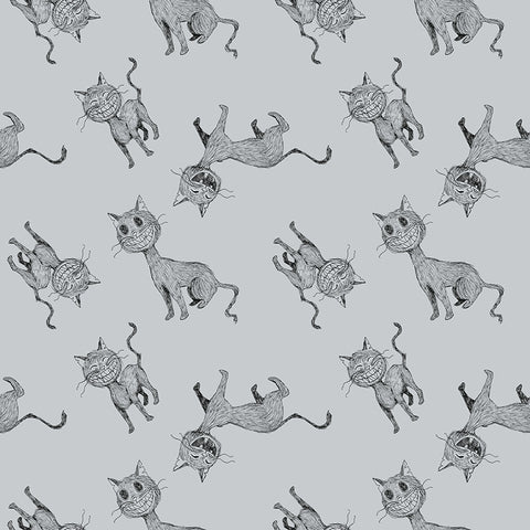 Scaredy Cat Main in Gray by Amanda Niederhauser C9410-GRAY